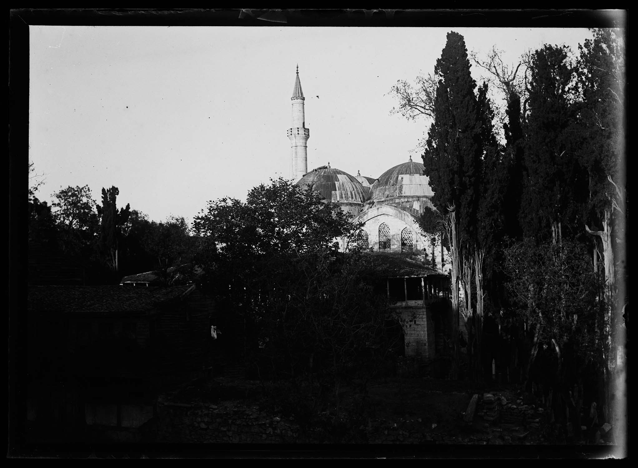 Coupoles et minaret vus à travers les arbres